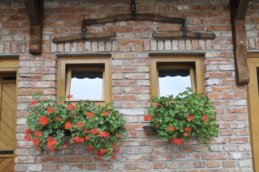 Гостьовий будинок Country House Tunjina Kuca Stara Kapela Pavlovci Екстер'єр фото